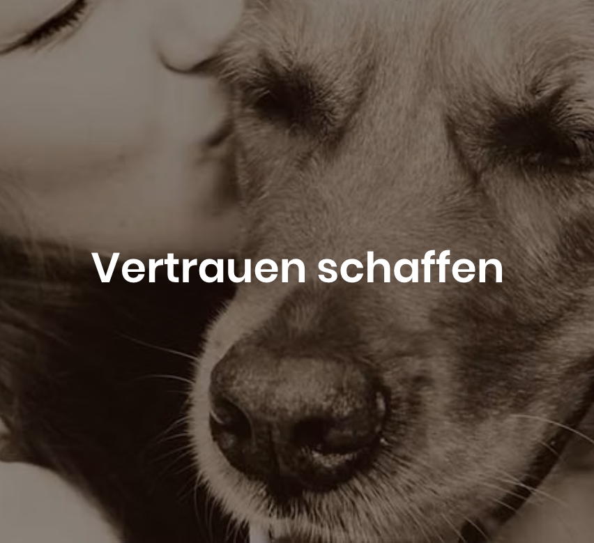 Eine Frau küsst die Nase eines Hundes, die Augen des Hundes sind geschlossen. Die Worte Vertrauen schaffen sind auf dem Bild geschrieben.