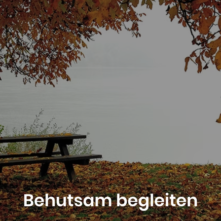 Eine Bank unter einem Baum mit Herbstblättern vor einem ruhigen Gewässer. Die Worte 'Behutsam begleiten' sind in großen Buchstaben geschrieben.