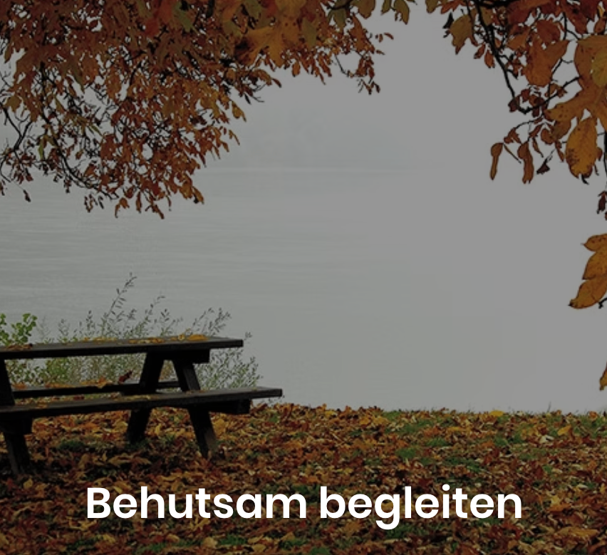 Eine Bank unter einem Baum mit Herbstblättern vor einem ruhigen Gewässer. Die Worte 'Behutsam begleiten' sind in großen Buchstaben geschrieben.