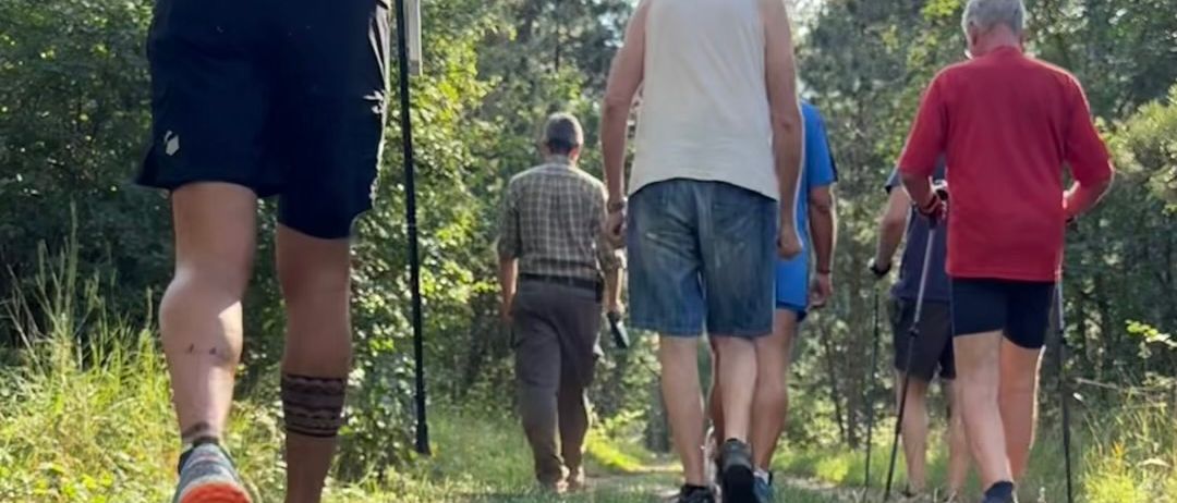 A group of hikers with backpacks and trekking poles walking on a forest trail.