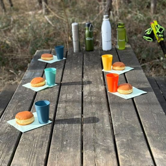 Ein Picknicktisch mit Brötchen, farbigen Bechern und Wasserflaschen im Freien. Die Umgebung ist eine natürliche mit Bäumen und trockenem Gras.