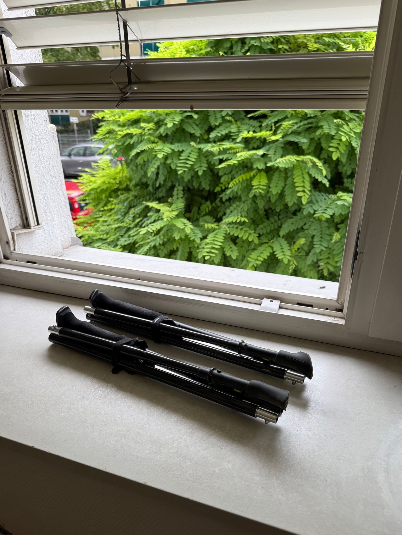 Two black hiking poles are placed on a window sill, with a view of a lush green bush and a car through the window.