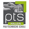 Das Logo der Polytechnischen Schule Hallein zeigt eine stilisierte Bergkette mit einem Kirchturm im Vordergrund. Die Buchstaben 'PTS' sind in großen, fetten Buchstaben prominent dargestellt, wobei 'HALLEIN' und 'POLYTECHNISCHE SCHULE' in kleineren Buchstaben darunter stehen. Das Farbschema besteht hauptsächlich aus Grün und Grau.