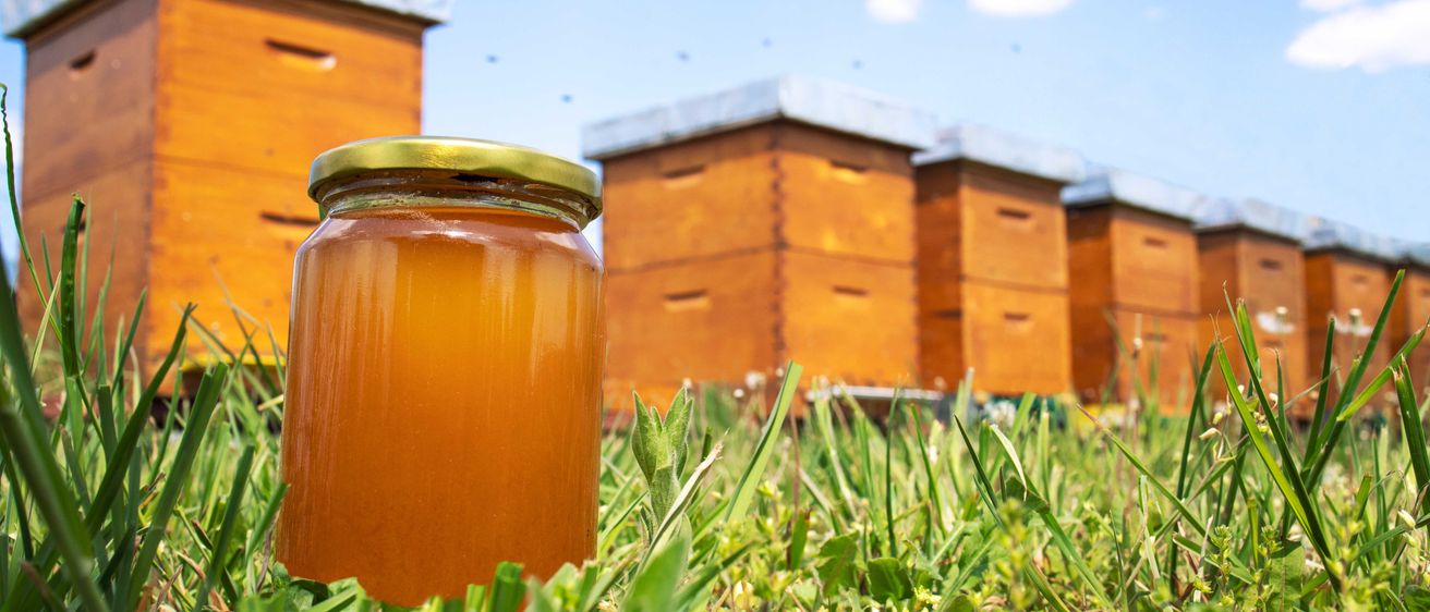Bild enthält, Jar, Grass, Plant, Food, Ketchup, Honey