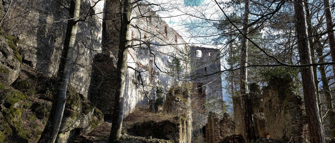 Ruinen einer alten Burg umgeben von Bäumen und Steinmauern. Ein Turm ragt hoch aus den Trümmern. Der Himmel ist klar und blau.