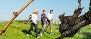 Drei Menschen gehen lächelnd auf einem Grasfeld mit blauem Himmel, halten Stöcke und scheinen zu lächeln.