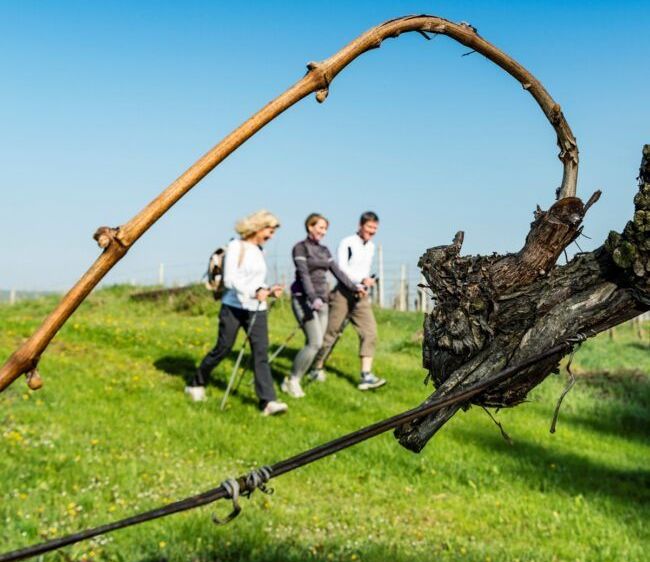 Drei Menschen gehen lächelnd auf einem Grasfeld mit blauem Himmel, halten Stöcke und scheinen zu lächeln.