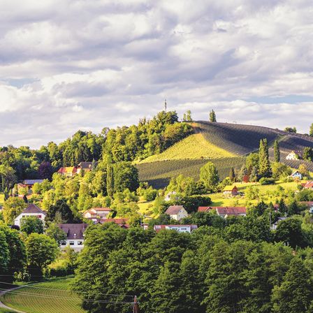 Luftaufnahme einer kleinen Stadt, umgeben von üppigen grünen Hügeln und Weinbergen unter einem bewölkten Himmel.