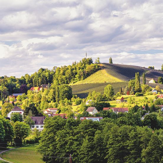 Luftaufnahme einer kleinen Stadt, umgeben von üppigen grünen Hügeln und Weinbergen unter einem bewölkten Himmel.