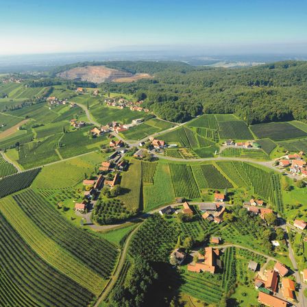 Eine Luftaufnahme eines Dorfes, umgeben von Weinbergen und grünen Feldern mit einem Berg in der Ferne.