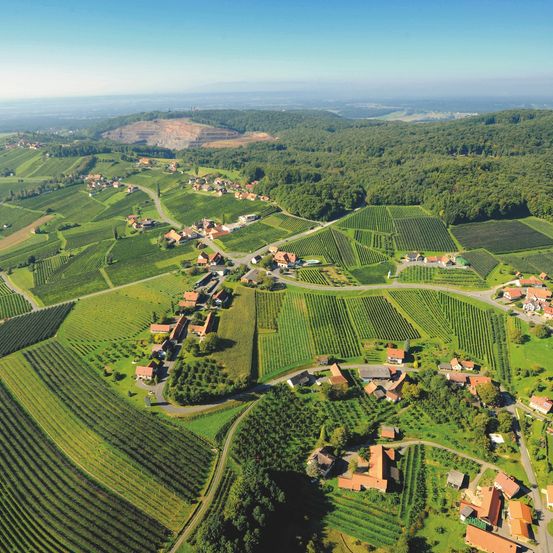 Eine Luftaufnahme eines Dorfes, umgeben von Weinbergen und grünen Feldern mit einem Berg in der Ferne.