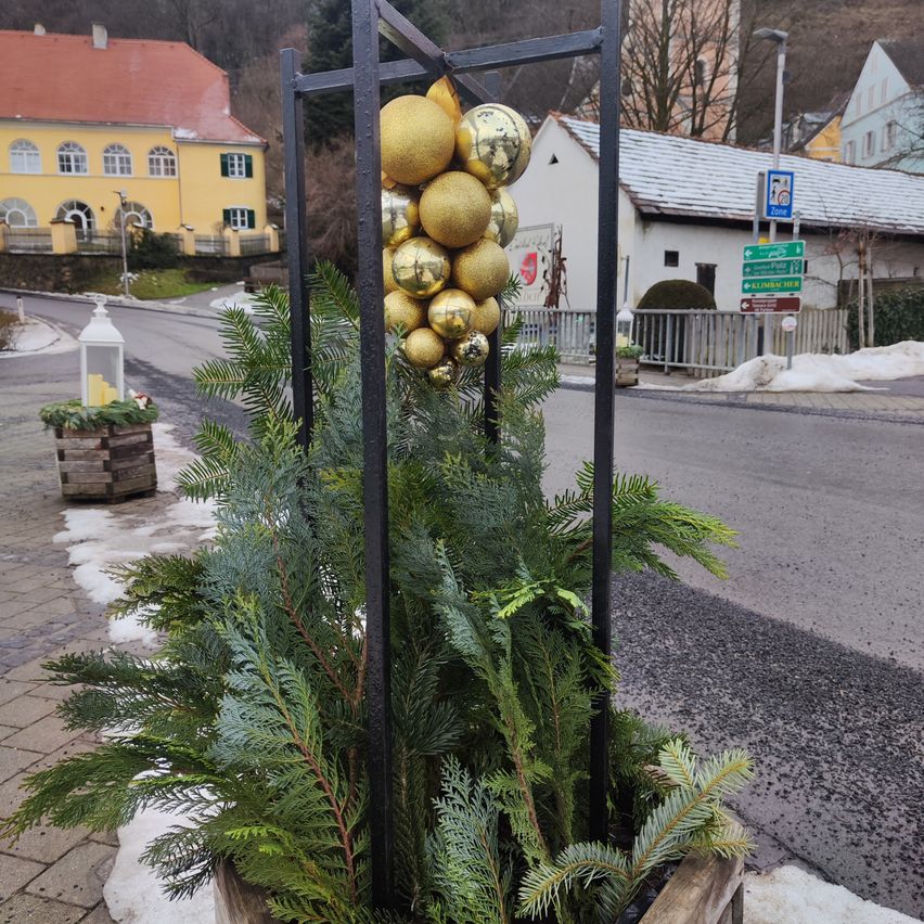 Ein Weihnachtsbaum mit goldenen Kugeln steht auf einem Bürgersteig, in der Nähe eines gelben Gebäudes und einer Straßenlaterne. Schnee liegt auf dem Boden.
