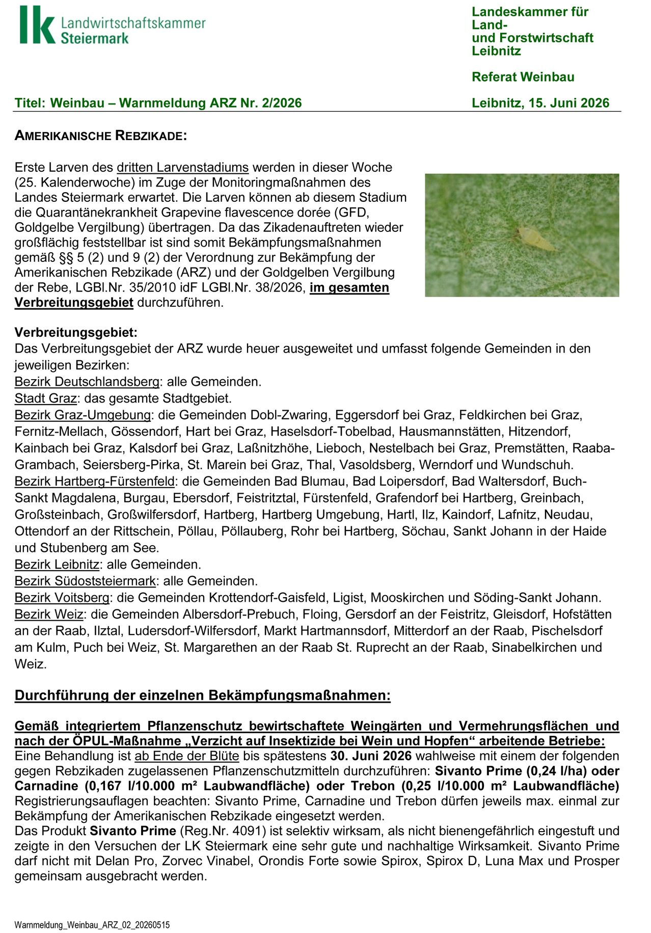 Erste Larven des dritten Larvenstadiums wurden in dieser Woche (25. Kalenderwoche) im Zuge der Monitoringmaßnahmen des Landes Steiermark ermittelt. Die Larven konnten als das Stadium der Quarantänekrankheit Grapevine flavescence dorée (GFD, Goldflächigc Vergilbung) identifiziert werden. Da das Zikadenmauten wieder großflächiig festgestellt ist, sind somit Bekämpfungsmaßnahmen gemäß §§ 5 (2) und 9 (2) der Verordnung zur Bekämpfung der Amerikanischen Reble (ARZ) und der Goldgelben Vergilbung der Rebe, LGB.Nr. 35/2010 idF LGB.Nr. 38/2026, im gesamten Verbreitungsgebiet durchzuführen.