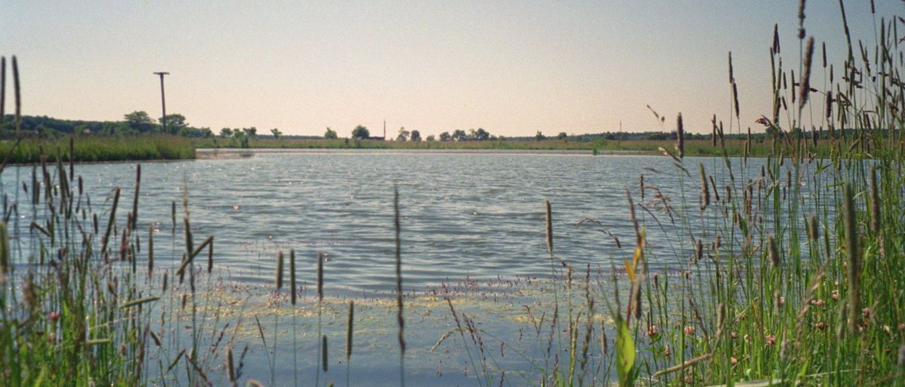 Unterfrauenhaid CITIES