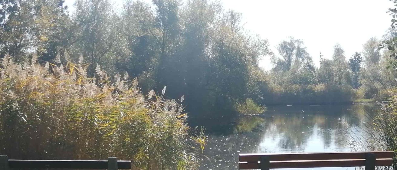 v1_migrated_image_52935716