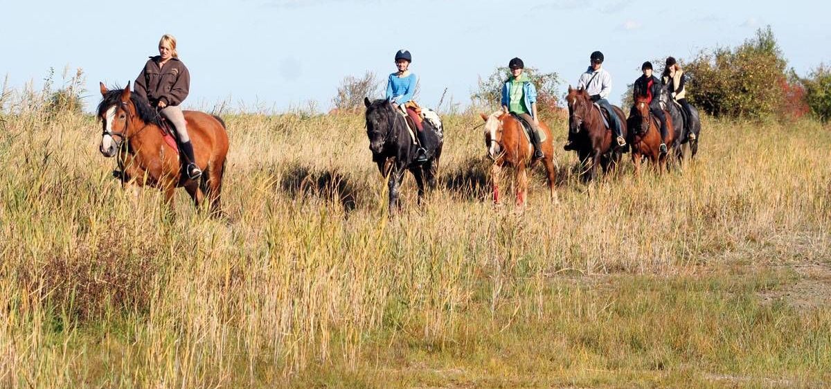 v1_migrated_image_9373586