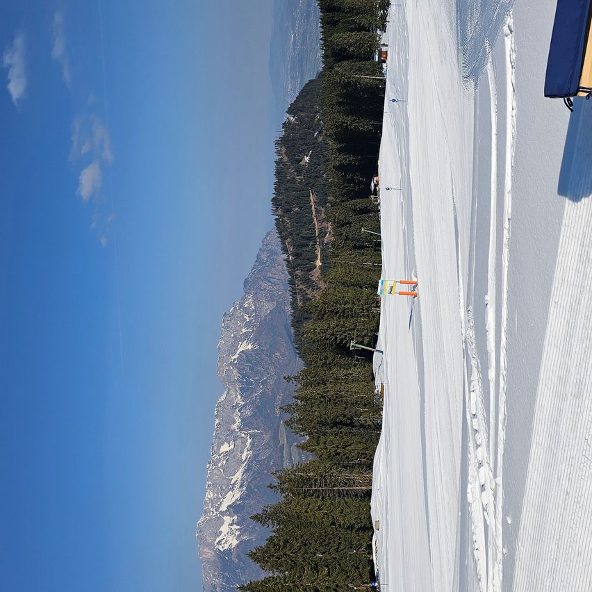 Ein schneebedeckter Berg mit Kiefern und einem klaren blauen Himmel. Ein Skilift ist in der Ferne sichtbar.