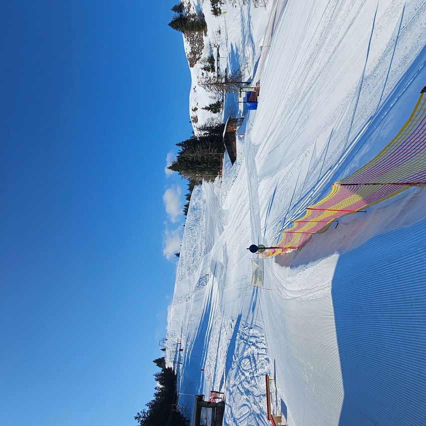 Ein schneebedeckter Berghang mit Bäumen und klarem blauem Himmel. Ein farbenfrohes Netz ist am Hang zu sehen.