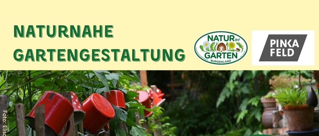 Ein Vortrag von Martin Cschotz über die Gestaltung eines natürlichen Gartens, der Schmetterlinge, Singvögel und Wildtiere fördert und das Klima schützt. Er bietet praktische Tipps und Beispiele.