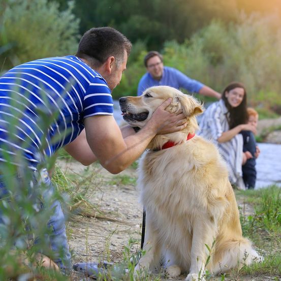 Bild enthält, Canine, Dog, Golden Retriever, Mammal, Pet, Person, Adult, Male, Man, Face