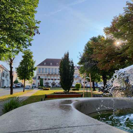 Ein Brunnen in einem Park mit einem großen Gebäude im Hintergrund, umgeben von Bäumen und geparkten Autos.