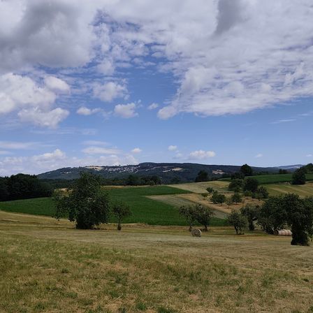 Eine ländliche Landschaft mit blauem Himmel, verstreuten Wolken und einem Horizont von Hügeln. Der Vordergrund zeigt ein Feld mit Heuballen und Bäumen.