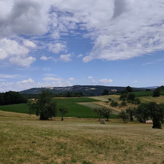 Eine ländliche Landschaft mit blauem Himmel, verstreuten Wolken und einem Horizont von Hügeln. Der Vordergrund zeigt ein Feld mit Heuballen und Bäumen.