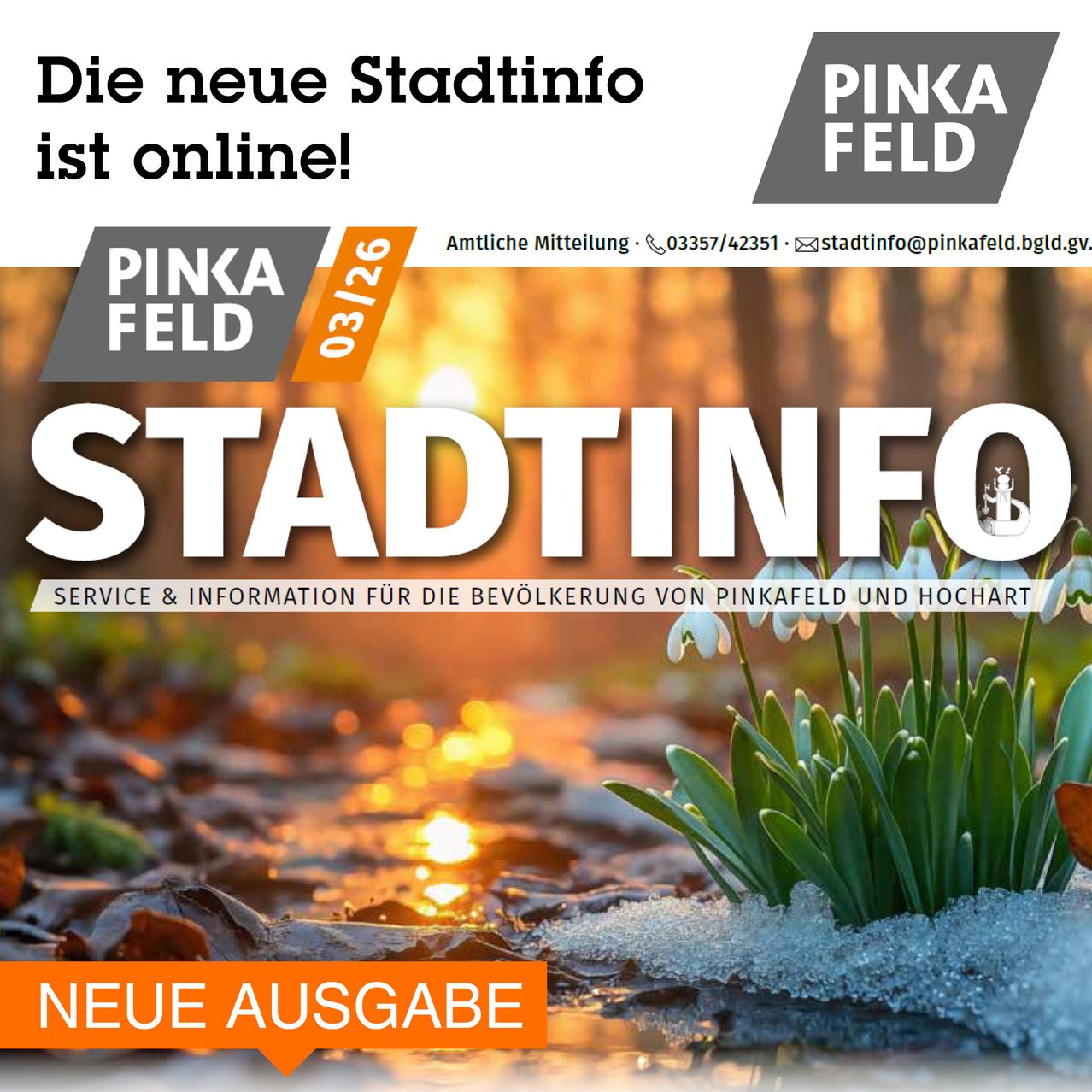Die neue Stadtinfo ist online! Die neue Ausgabe von Pinkafeld zeigt eine blühende Pflanze vor einem verschneiten Hintergrund und bietet Service und Informationen für die Bewohner von Pinkafeld und Hochart.