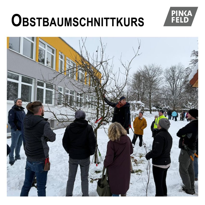 Eine Gruppe von Menschen steht draußen im Schnee und beobachtet eine Person, die einen Ast mit Werkzeugen beschneidet. In der Nähe ist ein Gebäude mit Glasfenstern zu sehen.