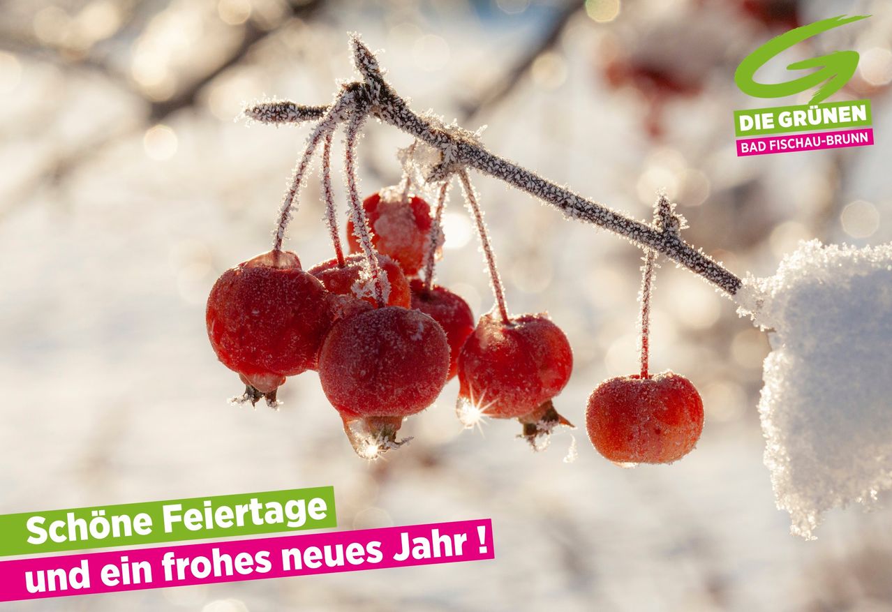 Ein Zweig mit roten, vereisten Beeren hängt in einer verschneiten Winterlandschaft. Ein grüner Banner trägt in weißen Buchstaben 'Die Feiertage im frohen neues Jahr!'.