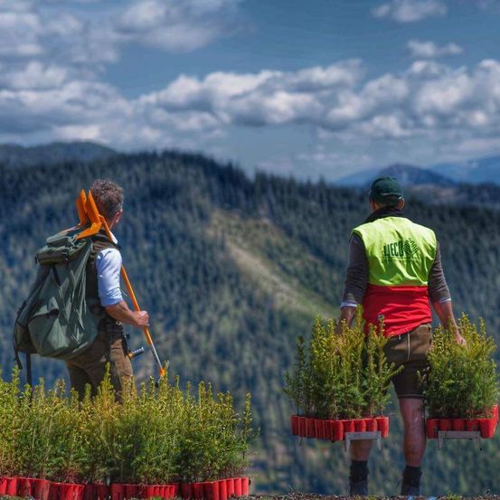 Bild enthält, Bag, Person, Backpack, Backpacking, Hiking, Nature, Outdoors, Plant, Clothing, Shorts