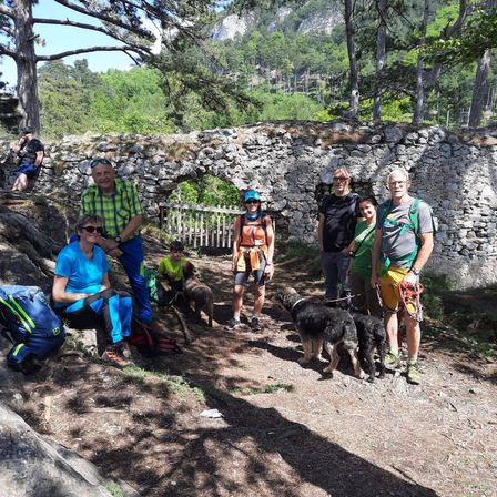 Eine Gruppe von Wanderern und ihren Hunden posiert für ein Foto in der Nähe einer Steinmauer und eines Holzzauns im Wald.