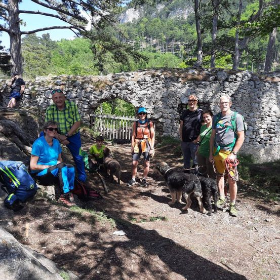 Eine Gruppe von Wanderern und ihren Hunden posiert für ein Foto in der Nähe einer Steinmauer und eines Holzzauns im Wald.