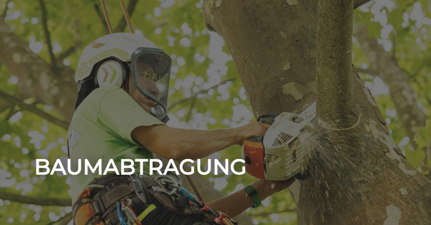 Eine Person in einem grünen Shirt und Helm schneidet mit einer Kettensäge einen Baum. Darunter steht das Wort Baumabtragung.