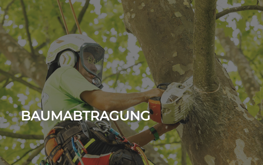 Eine Person in einem grünen Shirt und Helm schneidet mit einer Kettensäge einen Baum. Darunter steht das Wort Baumabtragung.