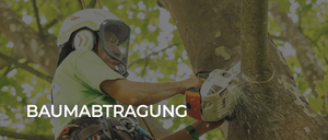 Eine Person in einem grünen Shirt und Helm schneidet mit einer Kettensäge einen Baum. Darunter steht das Wort Baumabtragung.