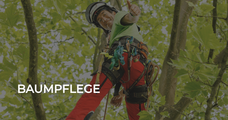 Eine lächelnde Person in einem grünen T-Shirt und roten Hosen, die einen Baum mit Sicherheitsausrüstung erklimmt.