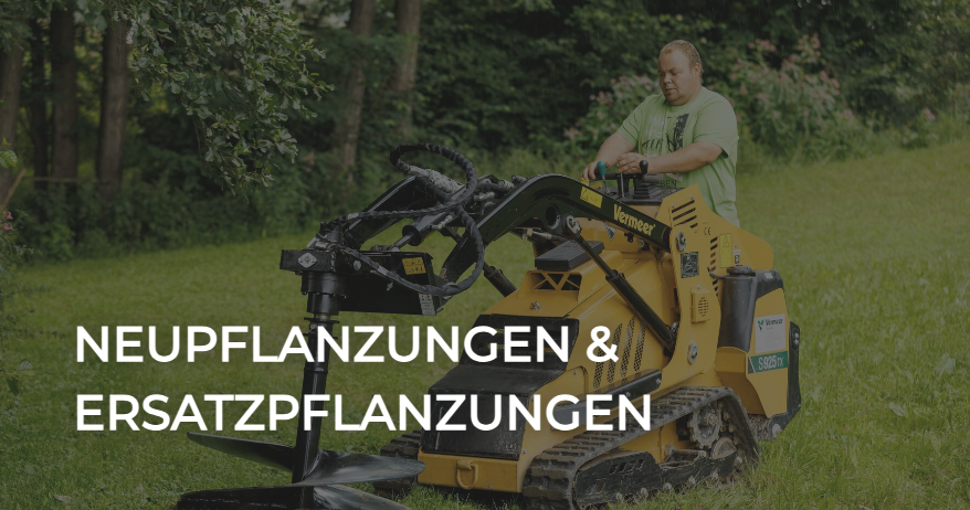 Ein Mann bedient eine gelbe Vermeer Baumpflanzmaschine in einem Grasbereich, wobei neue und Ersatzpflanzungen sichtbar sind.