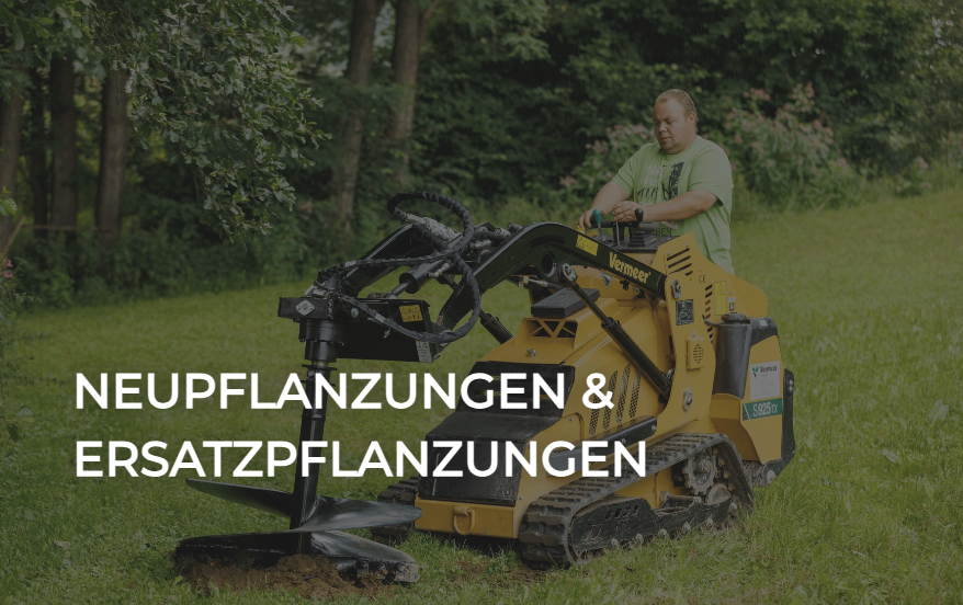 Ein Mann bedient eine gelbe Vermeer Baumpflanzmaschine in einem Grasbereich, wobei neue und Ersatzpflanzungen sichtbar sind.