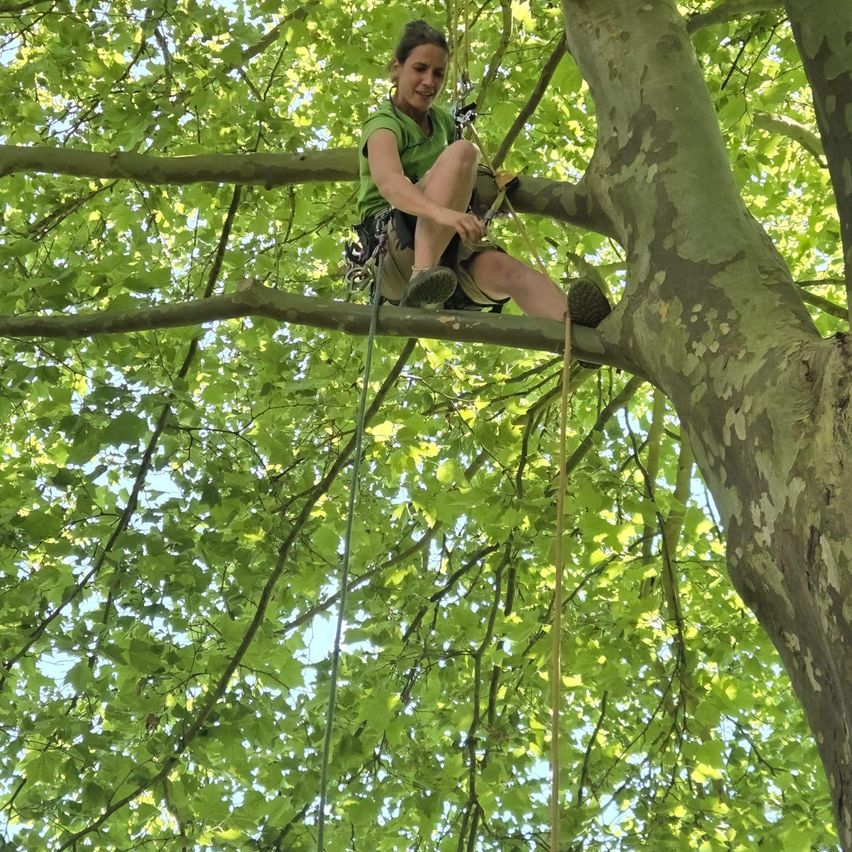 Eine Frau in einem grünen Shirt klettert an einem Seil hoch. Sie lächelt und scheint es zu genießen.