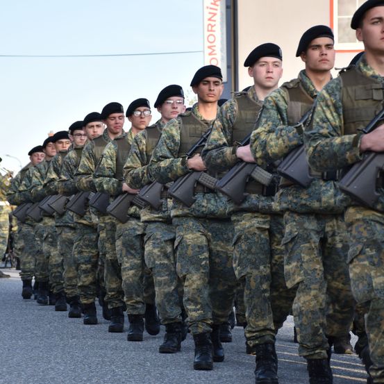 Bild enthält, Army, Military, Military Uniform, Person, Soldier, Armored, Troop, People, Adult, Man