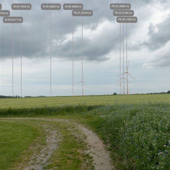 Ein Bild eines Feldes mit Windturbinen unterschiedlicher Höhe und einem bewölkten Himmel. Der Boden ist grün mit Wildblumen.