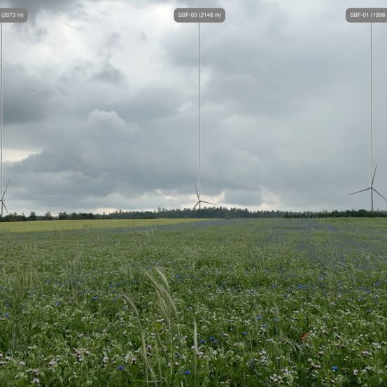 Eine Landschaft eines grünen Feldes mit verstreuten Blumen und Windturbinen in der Ferne unter einem bewölkten Himmel.