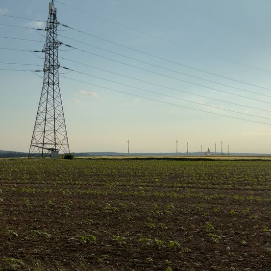 Ein leeres Feld mit Reihen von Pflanzen, einem hohen Metallturm mit Kabeln und einem klaren blauen Himmel.