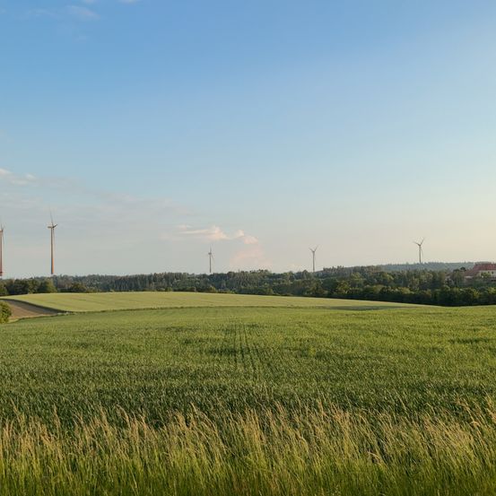 Ein weites grünes Feld mit mehreren Windturbinen im Hintergrund unter einem klaren blauen Himmel. Das Feld erstreckt sich in Richtung einer entfernten Baumlinie, und ein Gebäude ist im Hintergrund zu sehen.
