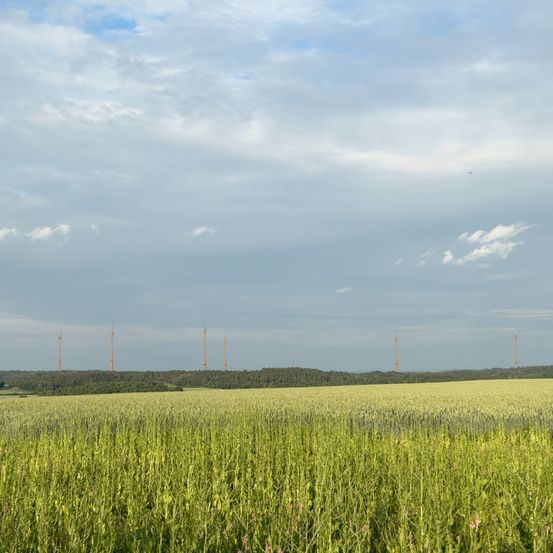 Ein großes grünes Feld mit mehreren Windturbinen in der Ferne unter einem bewölkten Himmel.