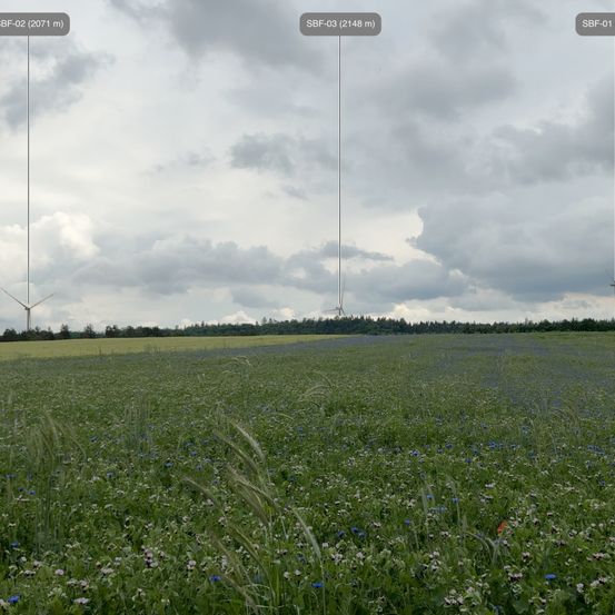 Ein Feld mit grünem Gras und blauen Blumen, mit zwei Windrädern in der Ferne unter einem bewölkten Himmel.