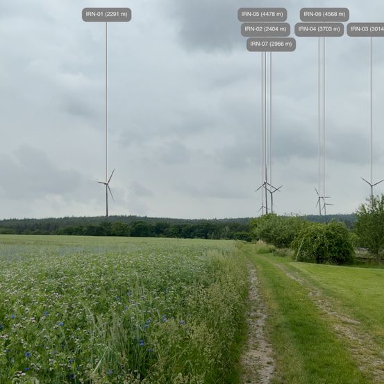 Ein großes Feld mit hohen Gräsern und Blumen unter einem bewölkten Himmel. Windturbinen sind in der Ferne sichtbar, gekennzeichnet durch ihre Höhen.
