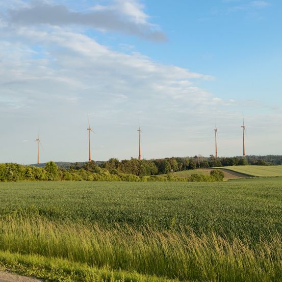 Ein Feld mit hohem Gras im Vordergrund und Windturbinen im Hintergrund unter einem teilweise bewölkten Himmel.