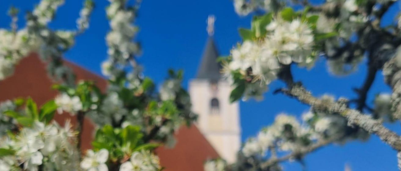 A large orange egg sits on a tree branch in front of a church with a steeple. White flowers adorn the tree, and a red roof tops the building.